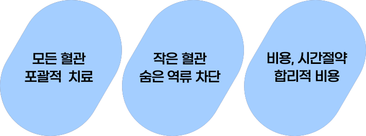 모든 혈관 포괄적 치료, 작은 혈관 숨은 역류 차단, 비용 시간절약 합리적 비용