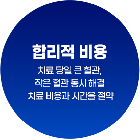 합리적 비용 : 치료 당일 큰 혈관, 작은 혈관 동시 해결 치료 비용과 시간을 절약